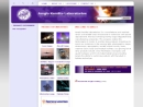 Website Snapshot of VISION ENGINEERING LABORATORIES, INC.